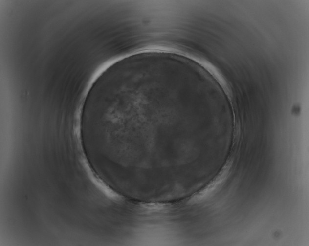 X0000101090862200807171846