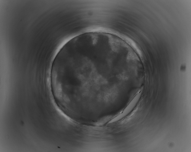 X0000101090863200807171846