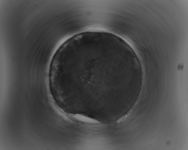 X0000101090864200807171846