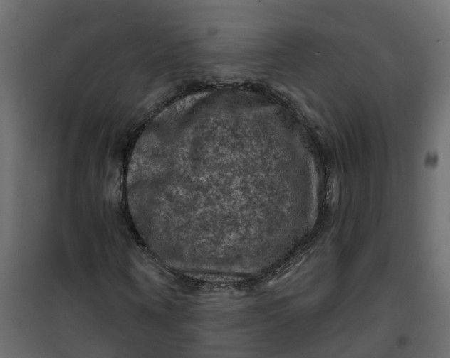 X0000101090866200807171845