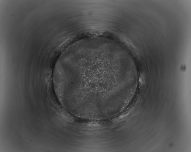 X0000101090867200807171845