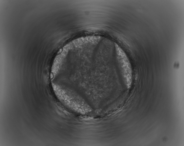 X0000101090868200807171845