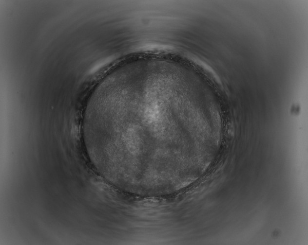 X0000101090869200807171845