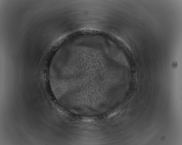 X0000101090870200807171845