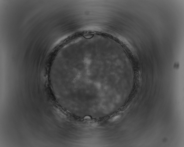 X0000101090872200807171845