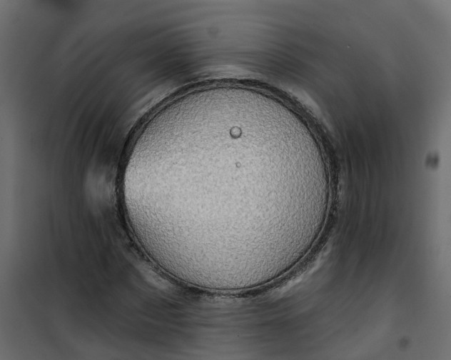 X0000101090873200807171845