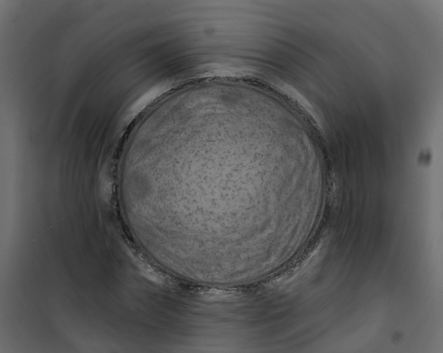 X0000101090874200807171845