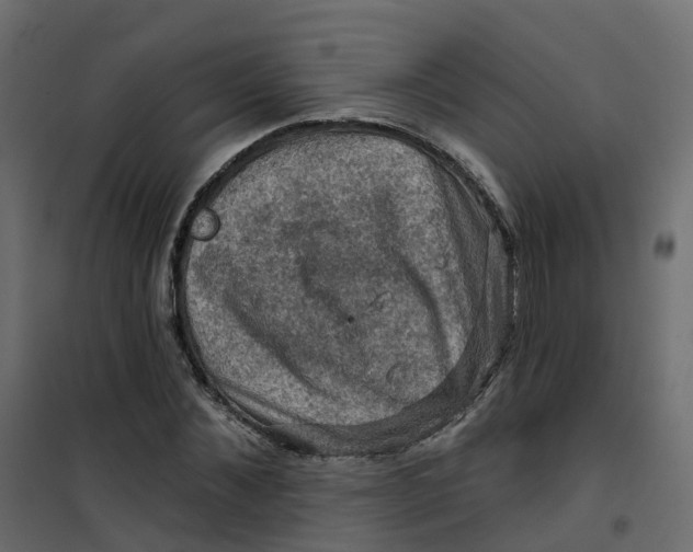 X0000101090876200807171845