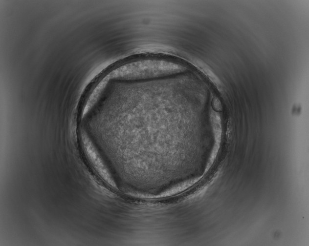 X0000101090877200807171845