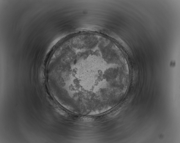 X0000101090878200807171845