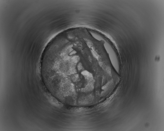 X0000101090879200807171845