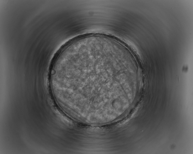 X0000101090880200807171845