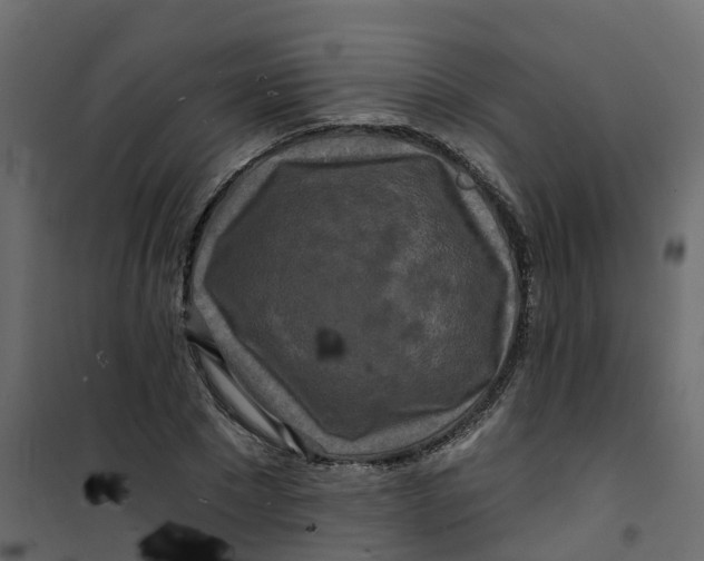 X0000101090881200807171845