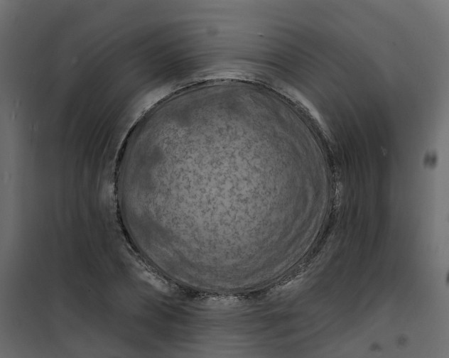 X0000101090882200807171845