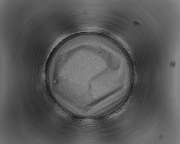 X0000101090883200807171845