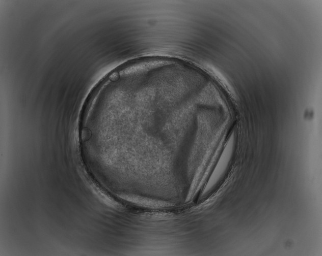 X0000101090884200807171845