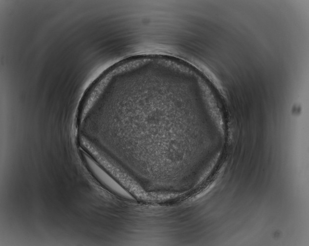 X0000101090885200807171845