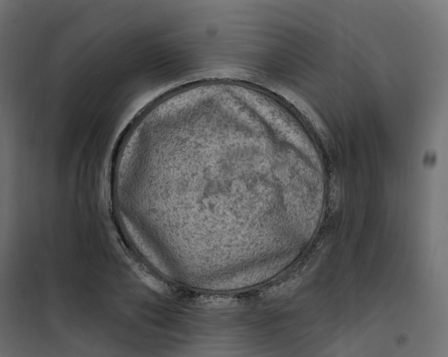 X0000101090886200807171845