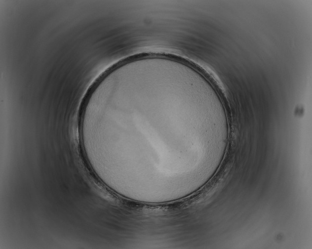 X0000101090887200807171845