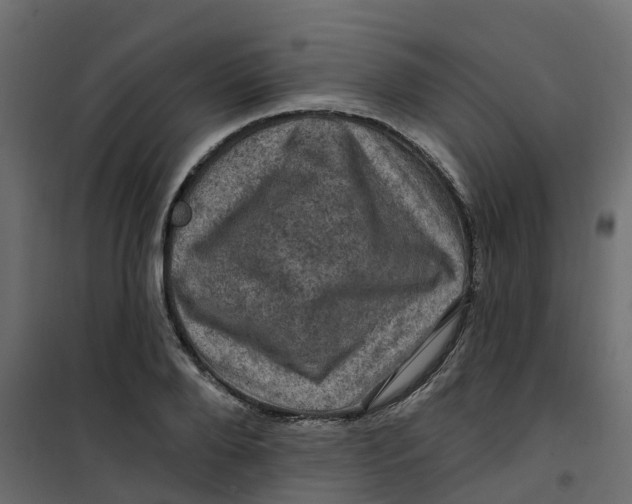 X0000101090888200807171845