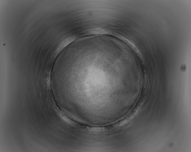 X0000101090889200807171845