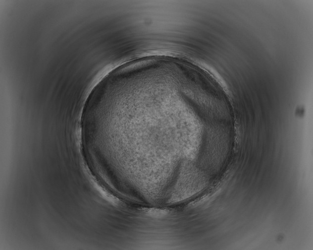 X0000101090890200807171845