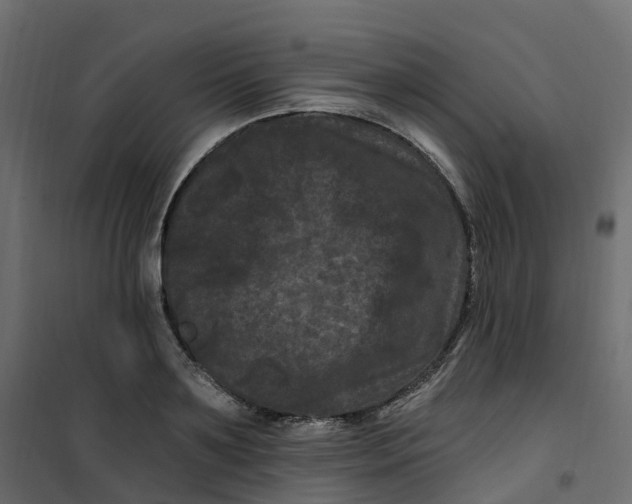 X0000101090891200807171845