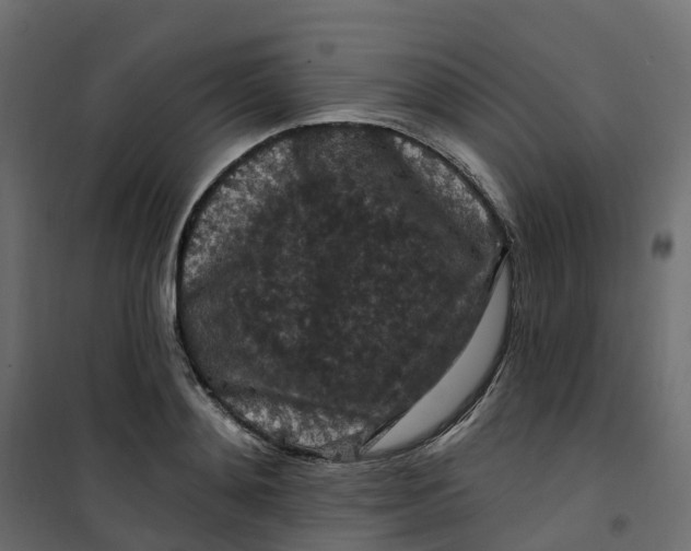 X0000101090892200807171845