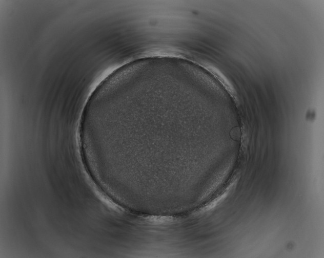 X0000101090893200807171845