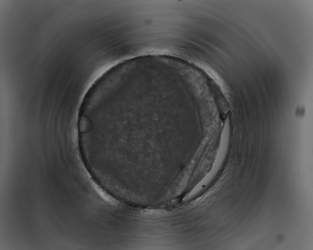 X0000101090894200807171845