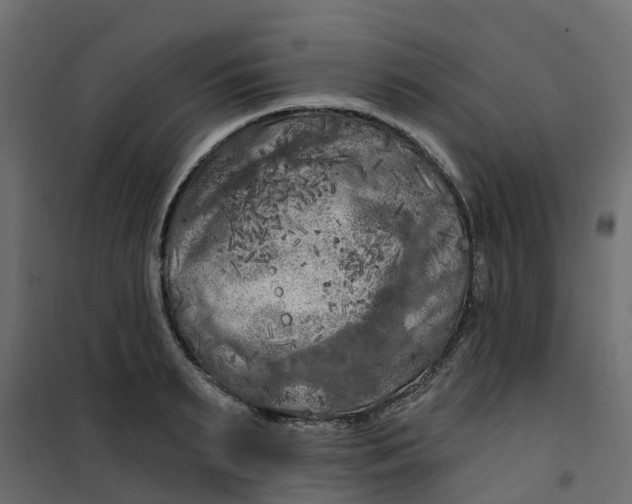 X0000101090895200807171845