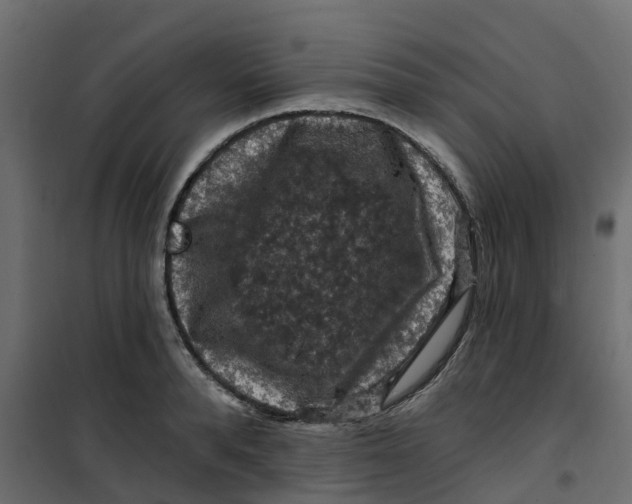 X0000101090896200807171845