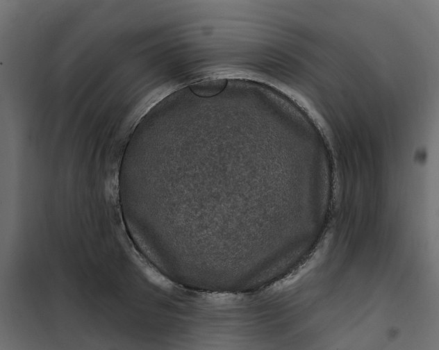 X0000101090897200807171845