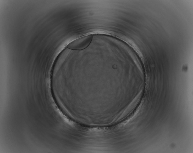 X0000101090898200807171845