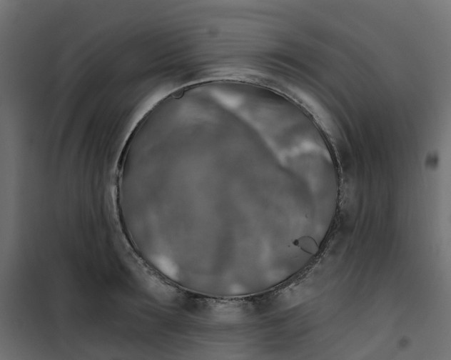 X0000101090899200807171845