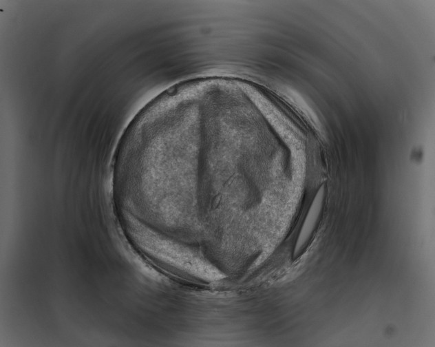 X0000101090900200807171845