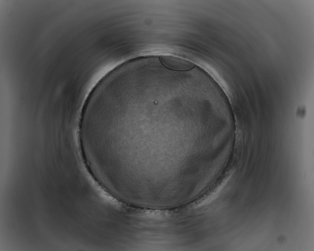 X0000101090901200807171845