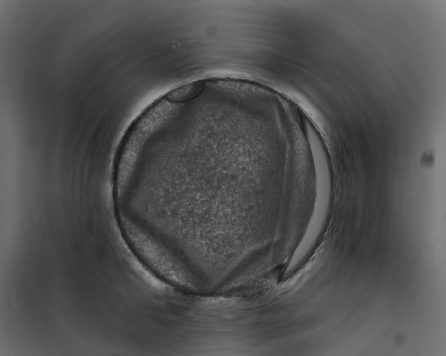 X0000101090902200807171845