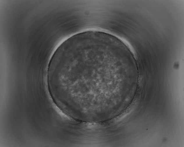 X0000101090903200807171845