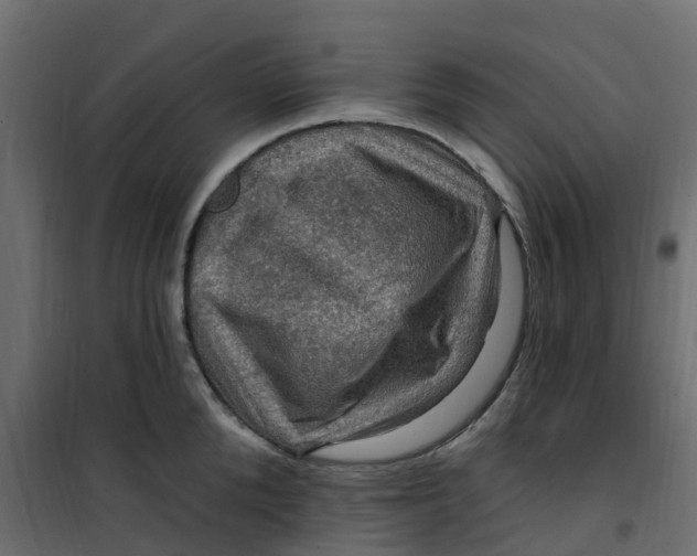 X0000101090904200807171845