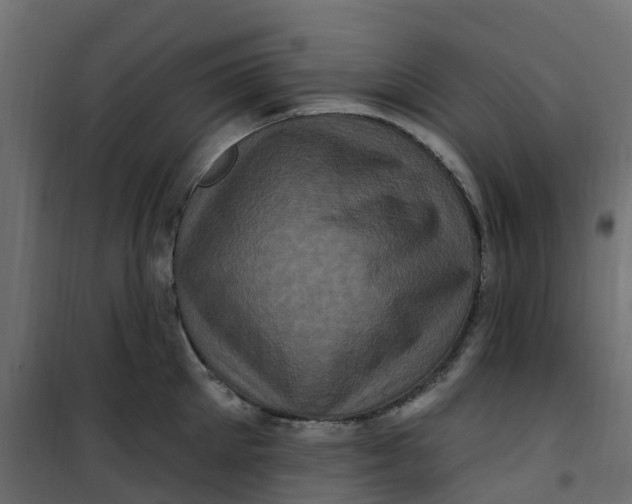 X0000101090905200807171845