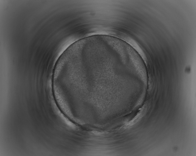 X0000101090906200807171845