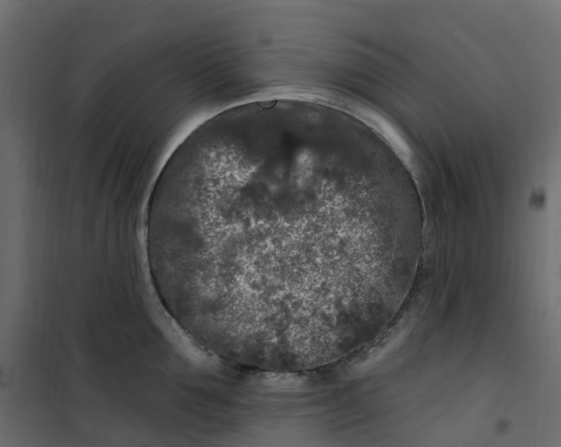 X0000101090907200807171845