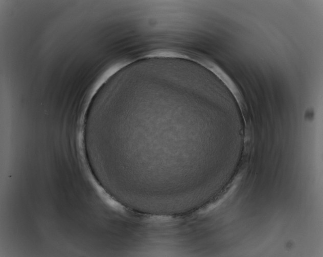 X0000101090909200807171845