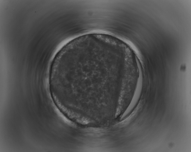 X0000101090910200807171845