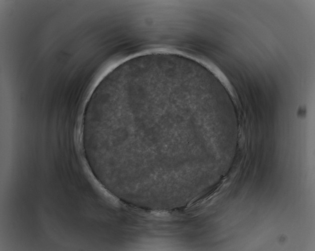 X0000101090911200807171845