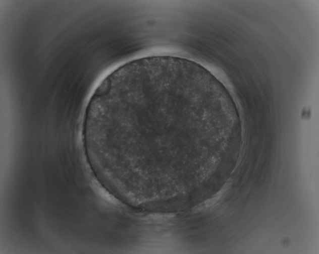 X0000101090912200807171845