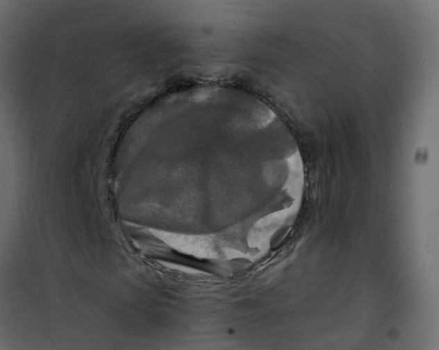 X0000101090913200807171844