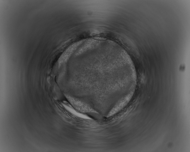 X0000101090914200807171844