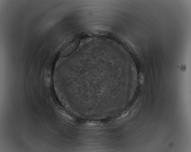 X0000101090915200807171844